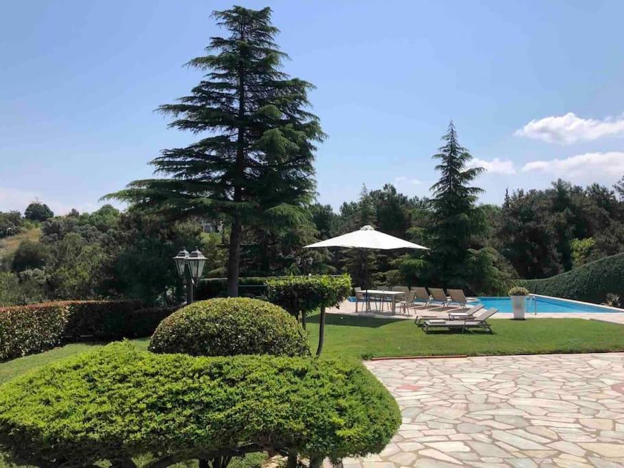 Villa Casa Chrissy Plagiarion Exterior photo